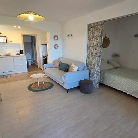 Climatise Avec Terrasse Et Piscine A - Fr-1-780-75 Sainte-Maxime