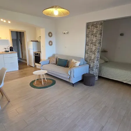 Apartment Climatise Avec Terrasse Et Piscine A - Fr-1-780-75
